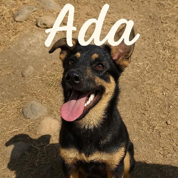 Ada, Un Amore💞
