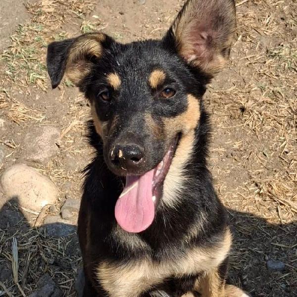 Ada, un amore💞 Foto 2