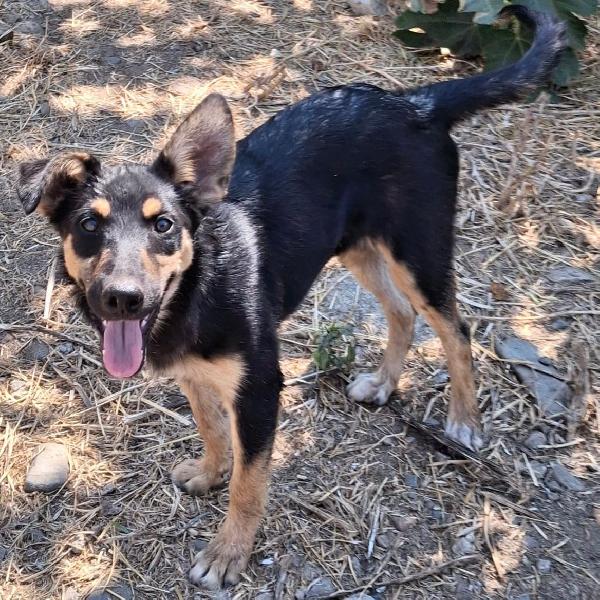 Ada, un amore💞 Foto 4