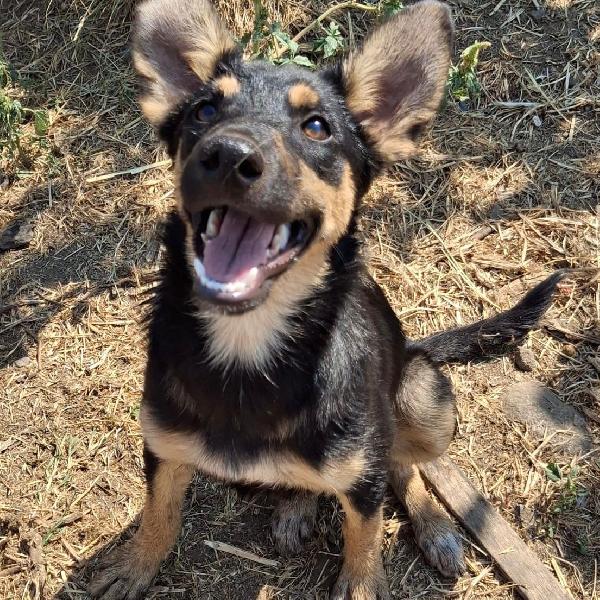 Ada, un amore💞 Foto 7