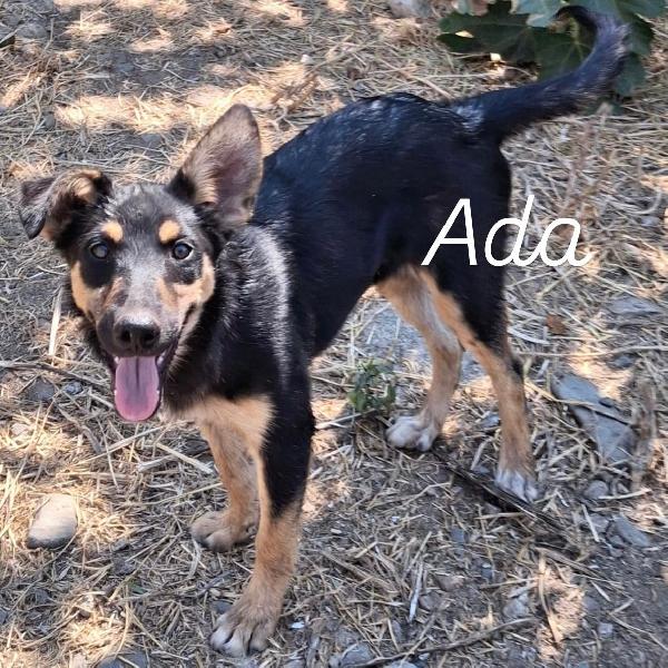 Ada, un amore💞 Foto 8