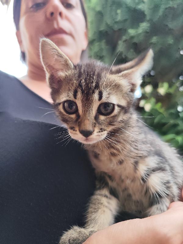 Nala Foto 3