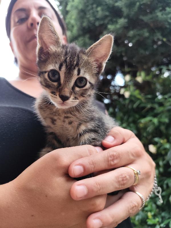 Nala Foto 4