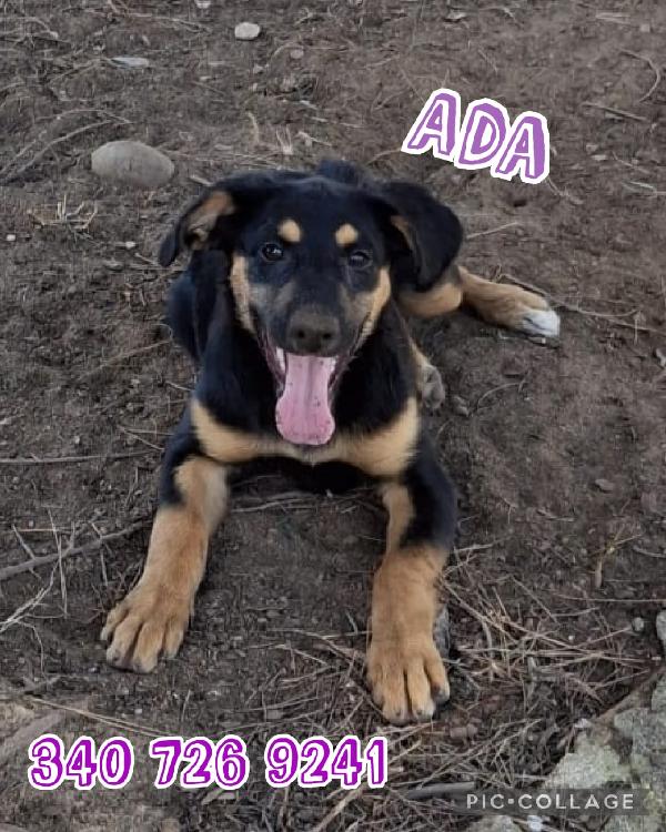 Ada..❣️Dolcissima🌹