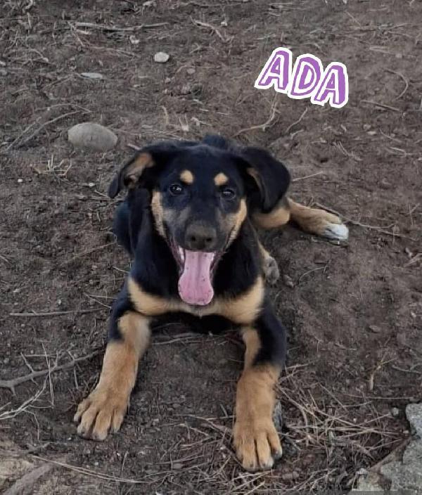 Ada..❣️dolcissima🌹 Foto 5