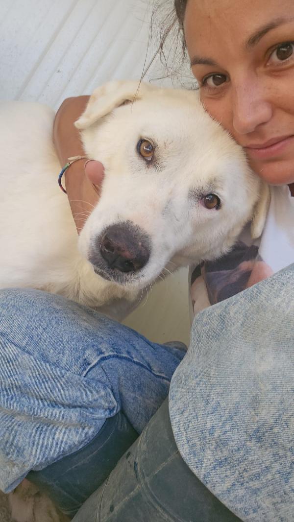 SOS STALLO - ADOZIONE DEL CUORE PER CONSUELO!!! Foto 8