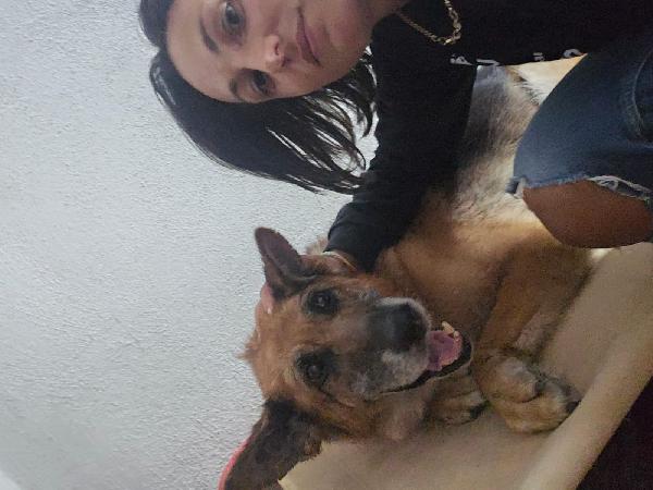 Tilda Nonnina Pastore Tedesco Cerca FAMIGLIA Foto 6