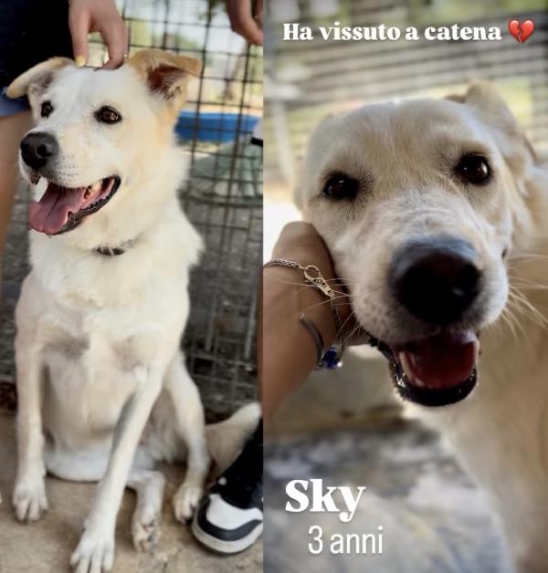 Sogna Una Casa