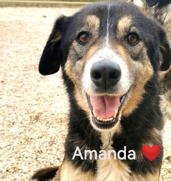 Amanda