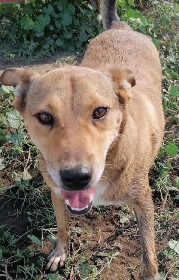 Bruno 5Anni Lo Volevano Morto! Napoli
