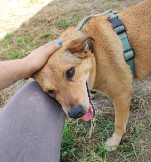 Bruno 5anni lo volevano morto! Napoli Foto 2