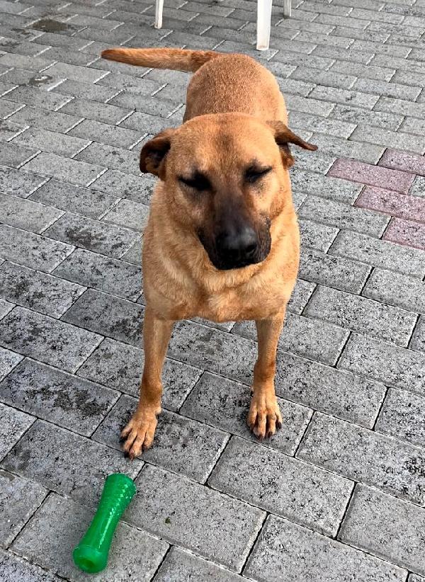 ARGO CERCA CASA Foto 4