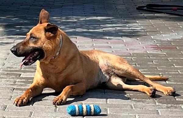 ARGO CERCA CASA Foto 6