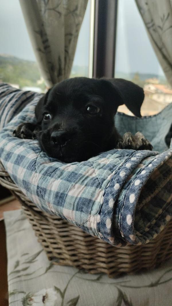 UNA MAMMA PER LILLY Foto 2