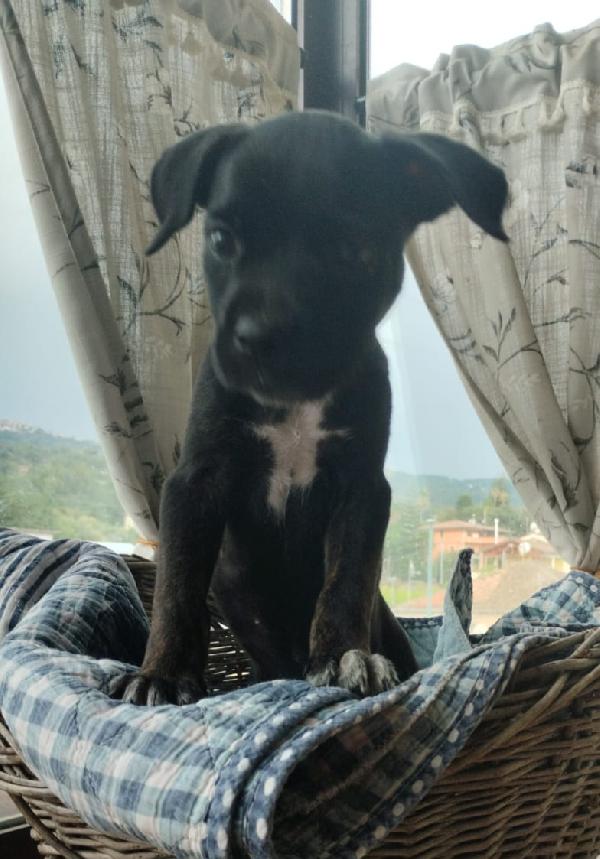 UNA MAMMA PER LILLY Foto 4