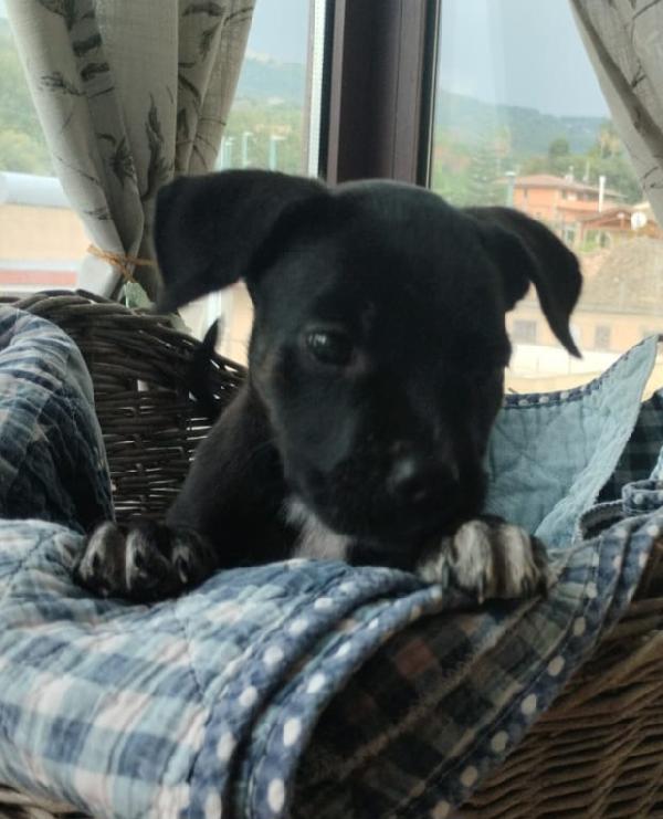 UNA MAMMA PER LILLY Foto 3