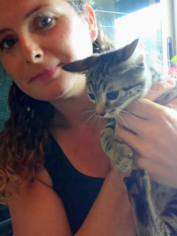 Micini 3mesi (grigi,bianco ..) SICILIA URGENTE AIUTO  Foto 6