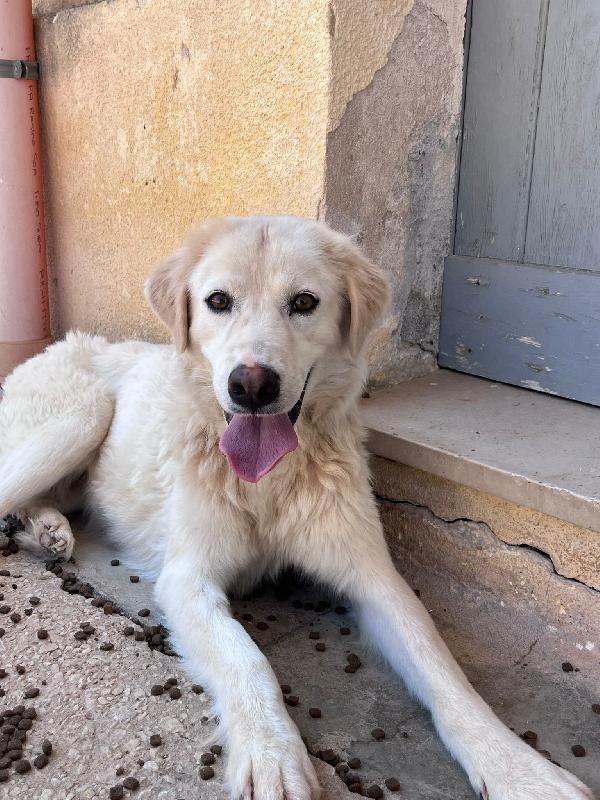 Dora Cerca Casa!