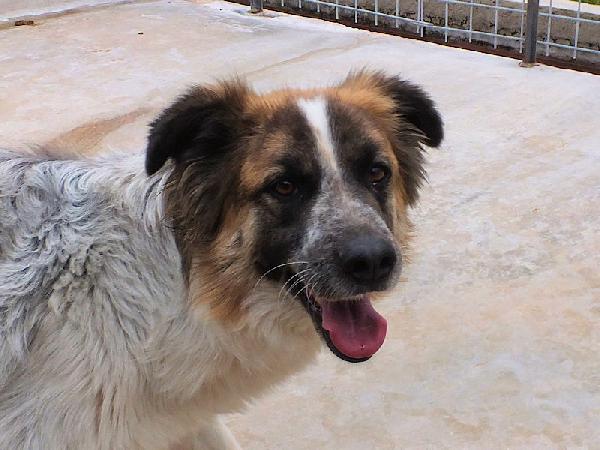 Coby Foto 3