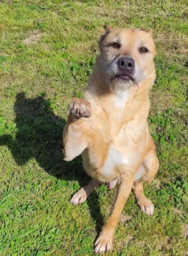 Baffo 8anni ha perso le speranze. TARANTO Foto 2