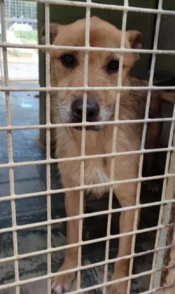 Baffo 8anni ha perso le speranze. TARANTO Foto 4