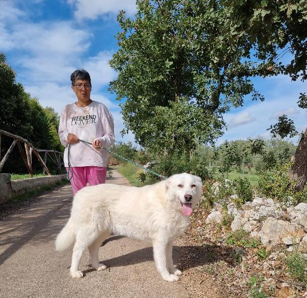 Ellen Cerca Famiglia.  Foto 3