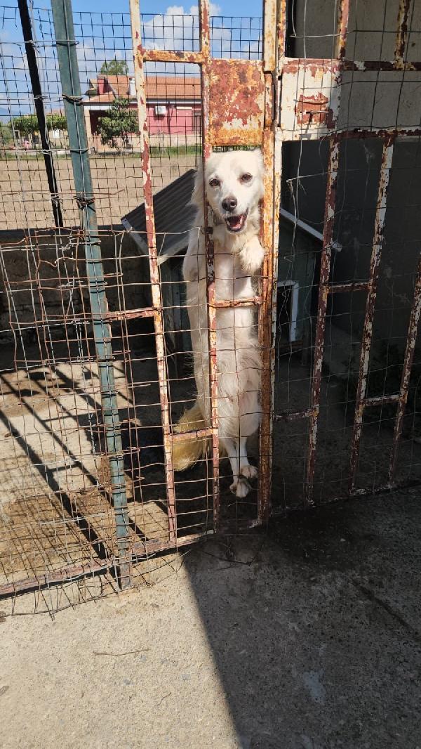 HEIDI : 10 ANNI DI PRIGIONIA, MERITA IL LIETO FINE!  Foto 5