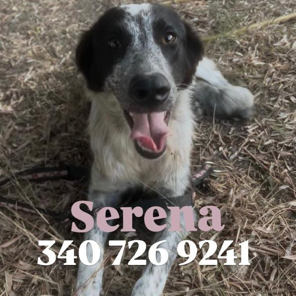 Serena Di 7 Mesi Taglia Media 