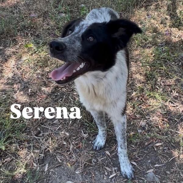 Serena 💜 Foto 7