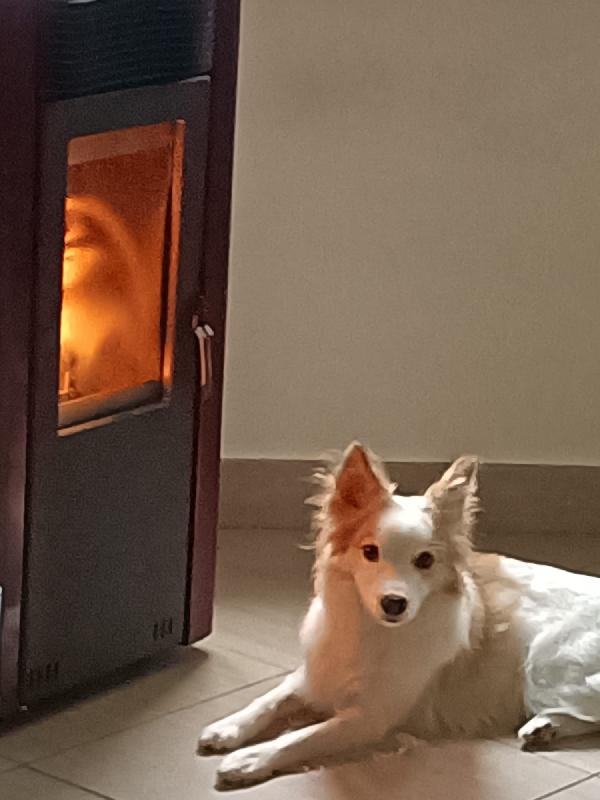 Daisy  Foto 3