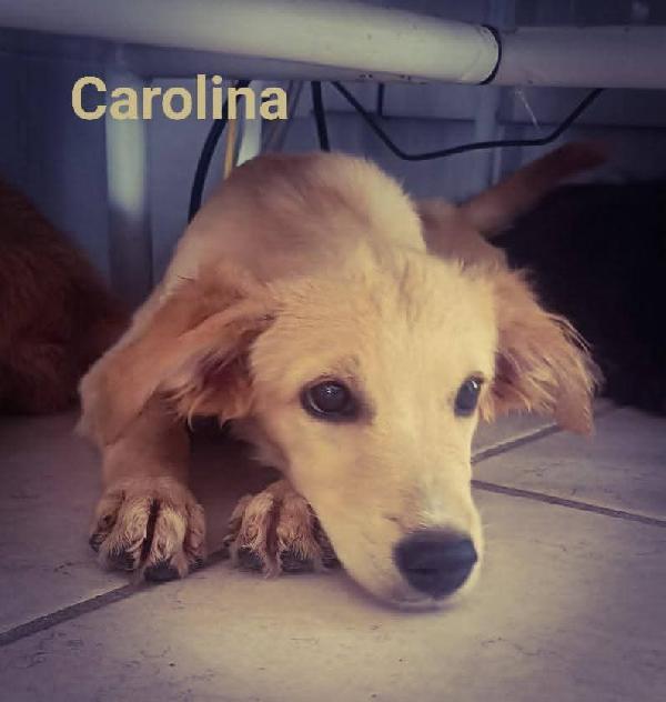 Le2Gemelline Carolina E Peperina 