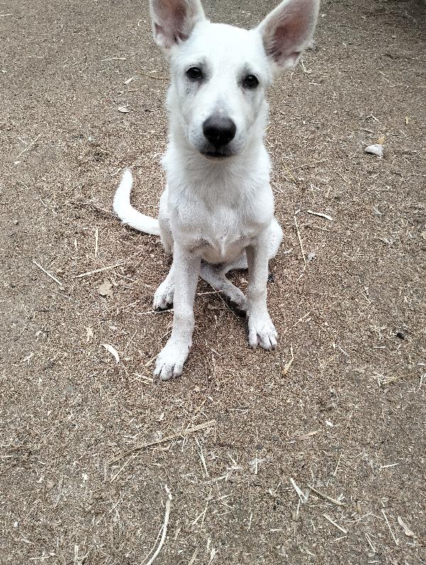 Casper e Pippo  Foto 2