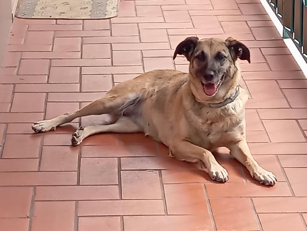Leda è rimasta sola Foto 6