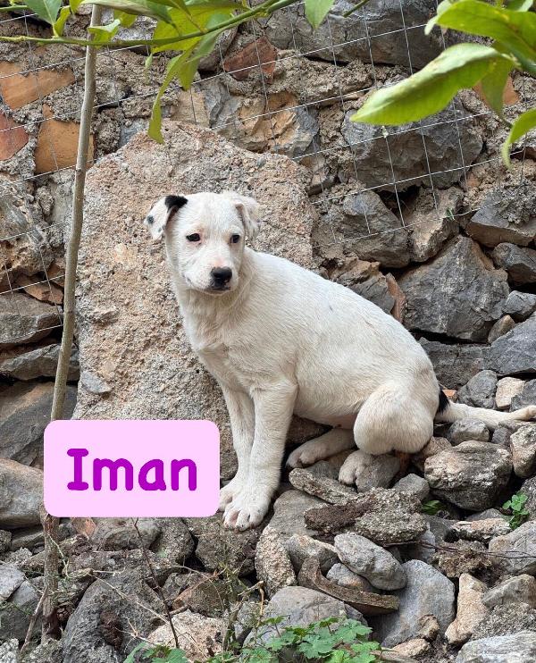6mesi rimasti senza richieste CALABRIA SOS Foto 2
