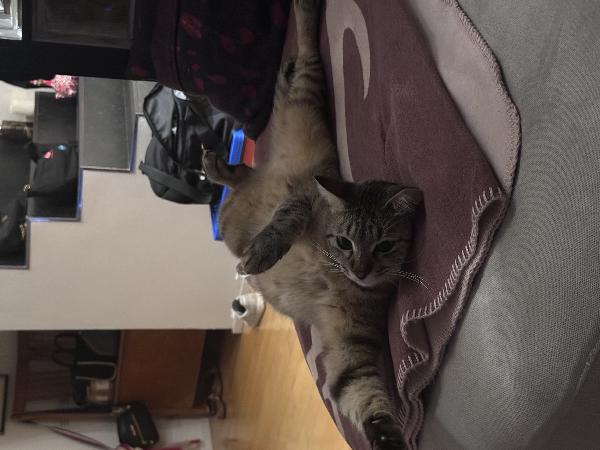 Gandalf Foto 2