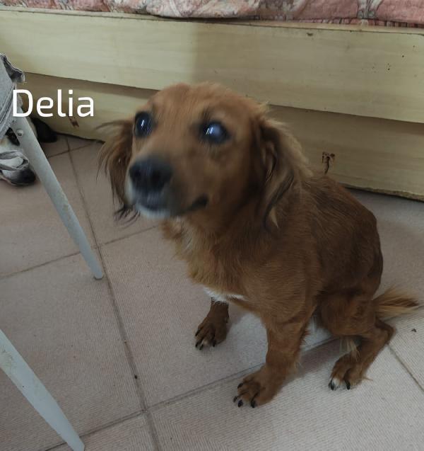 ❤️ Delia, un occhietto in meno ma un cuore immenso Foto 6