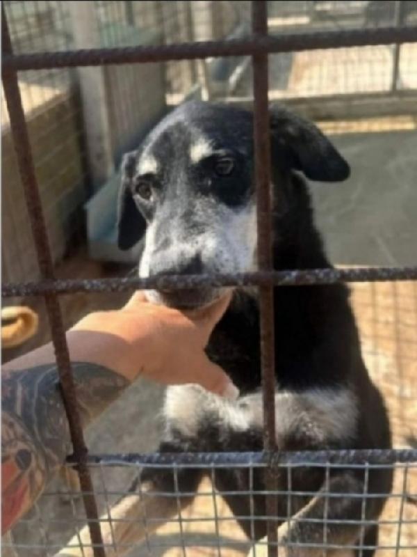 Musetto 11Anni Di Indifferenza! Sicilia Urgente 