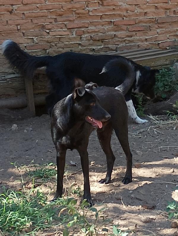 ❤️ Rames, un anno di vita e già un grande dolore Foto 3