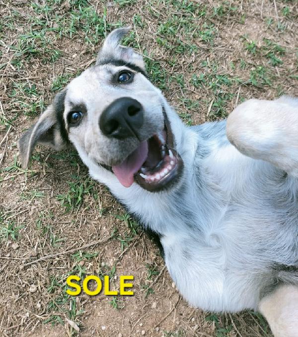 Una Mamma Per Sole