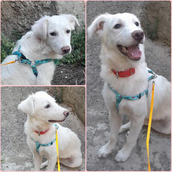 Una Mamma Per Chloe
