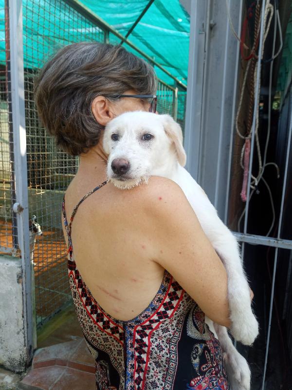 🐾 Grandu, Cucciolo Speciale In Cerca Del Suo Riscatto 🐾