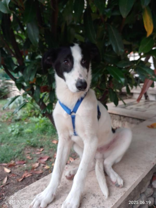 🐾 DANIEL CERCA CASA 🐾 Foto 2