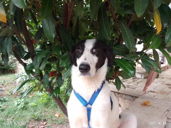 🐾 DANIEL CERCA CASA 🐾 Foto 5