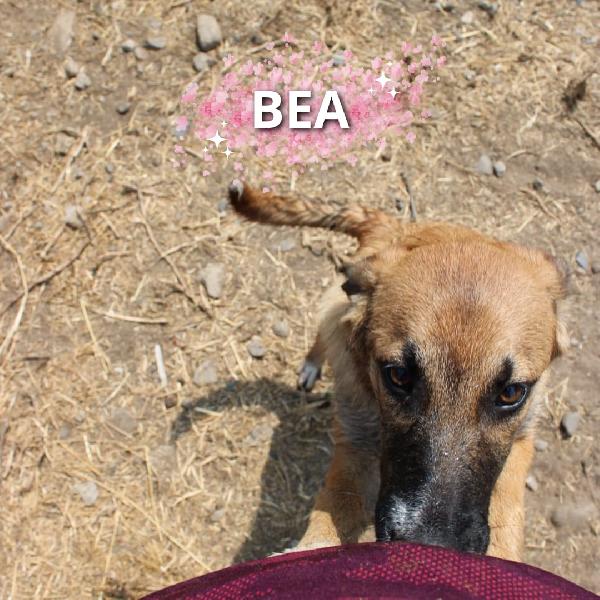 Bea, 6 Mesi