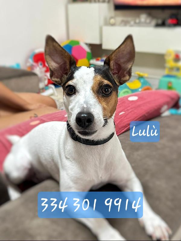 Lulù ♥️