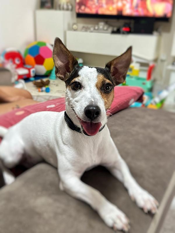 Lulù ♥️ Foto 3