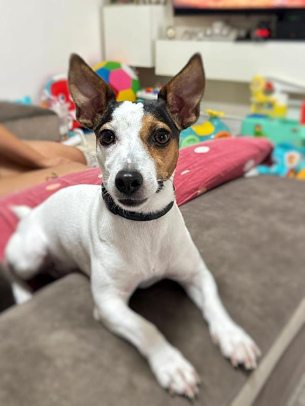 Lulù ♥️ Foto 4