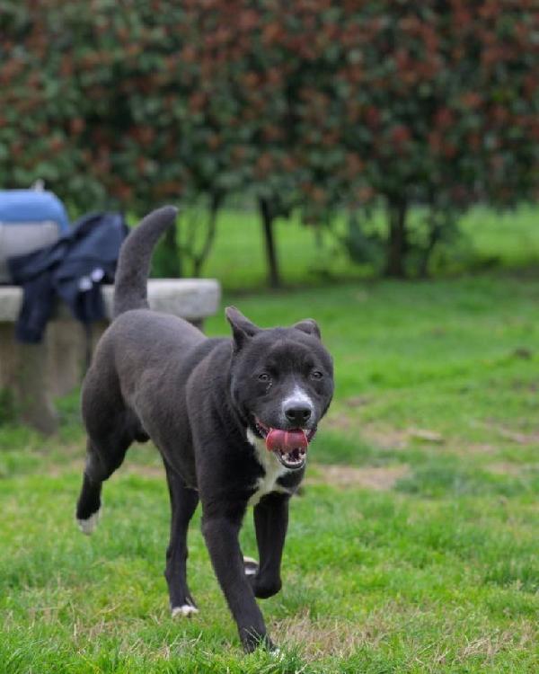 Ciccio Foto 6
