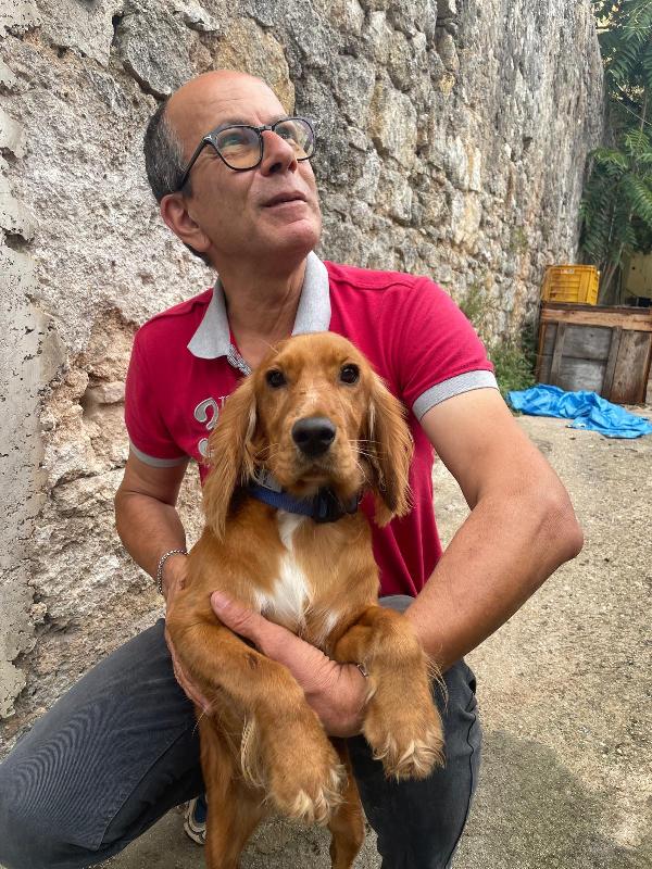 Cucciola Cocker  Foto 3