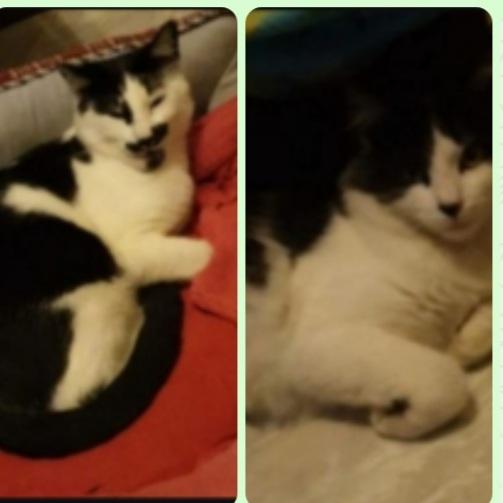 2Mici 20Mesi Sos Casa Roma